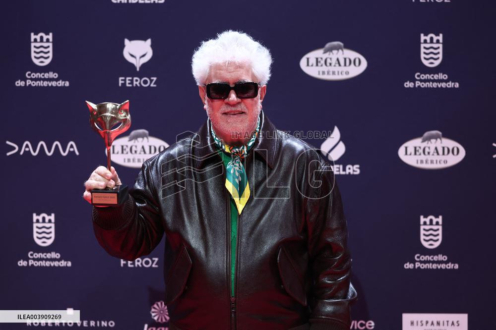 Pedro Almodovar Wins Feroz Award - Spain