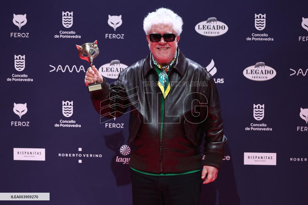 Pedro Almodovar Wins Feroz Award - Spain
