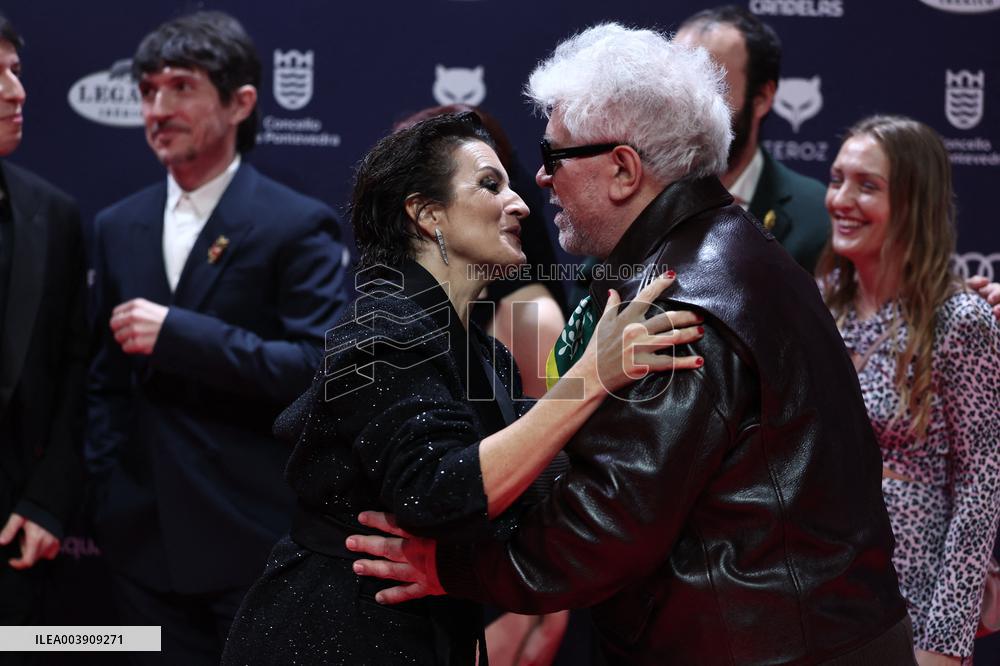Pedro Almodovar Wins Feroz Award - Spain