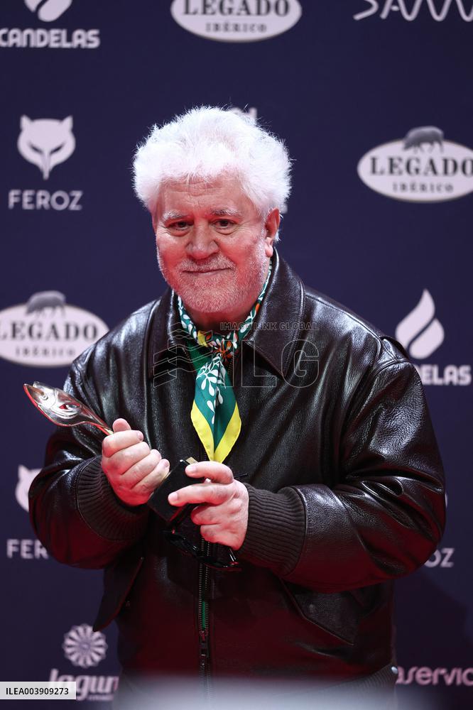 Pedro Almodovar Wins Feroz Award - Spain