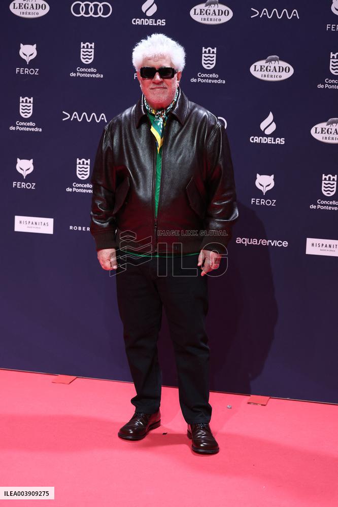 Pedro Almodovar Wins Feroz Award - Spain