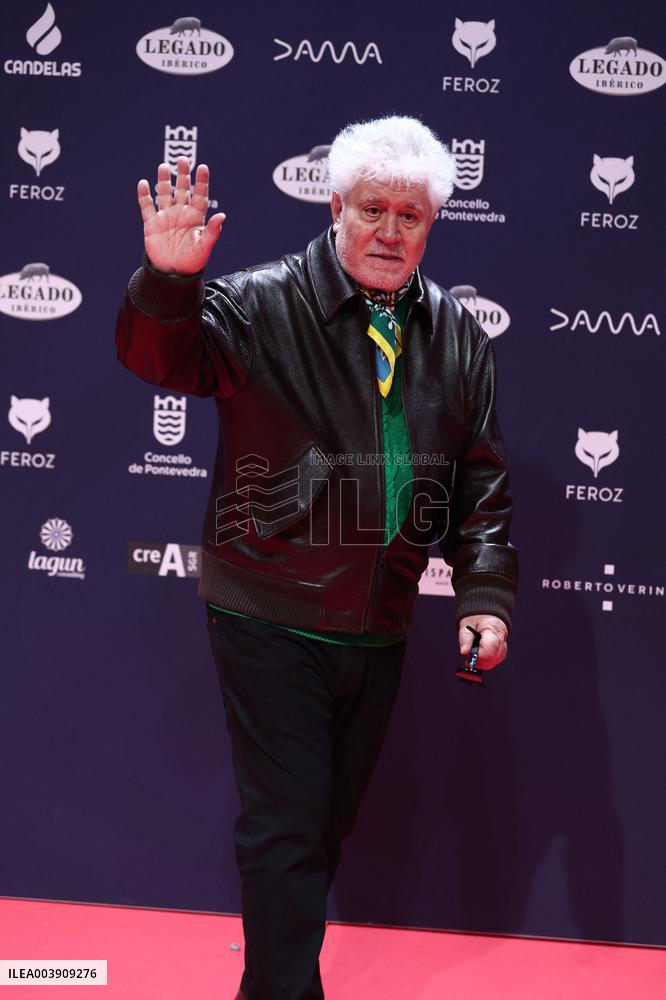 Pedro Almodovar Wins Feroz Award - Spain