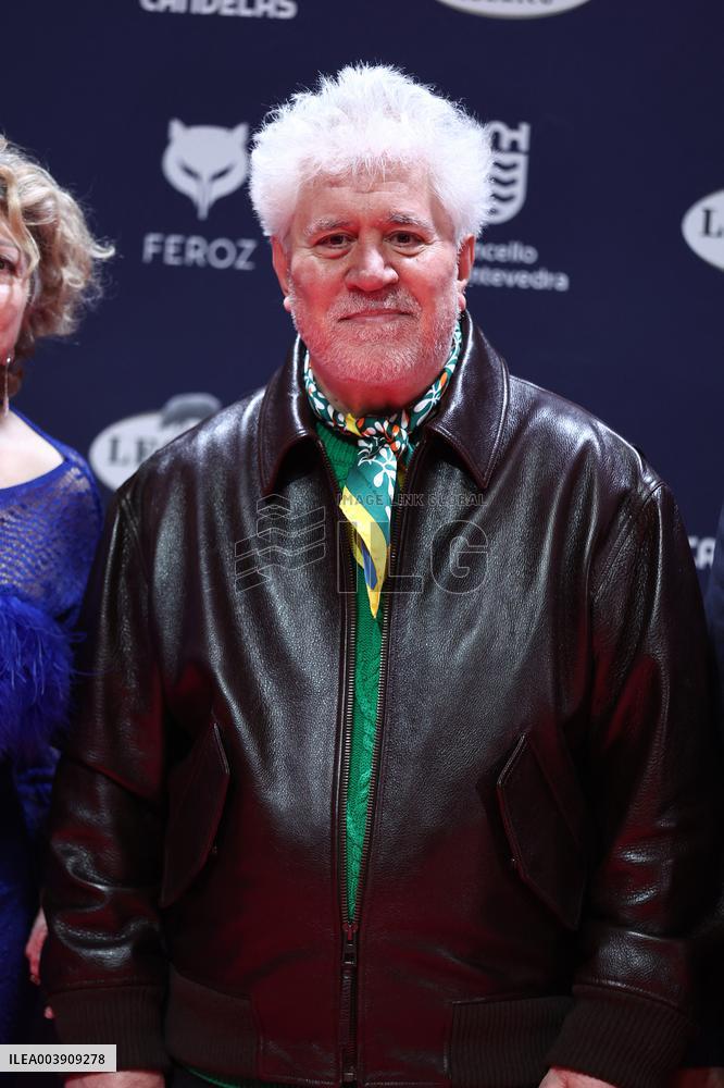 Pedro Almodovar Wins Feroz Award - Spain