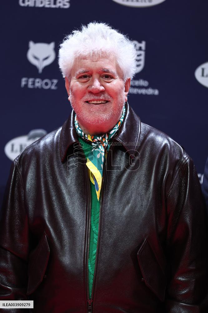 Pedro Almodovar Wins Feroz Award - Spain