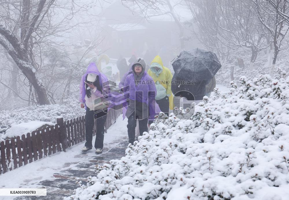 First Snow in Lianyungang