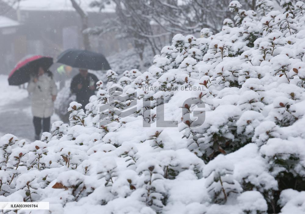 First Snow in Lianyungang