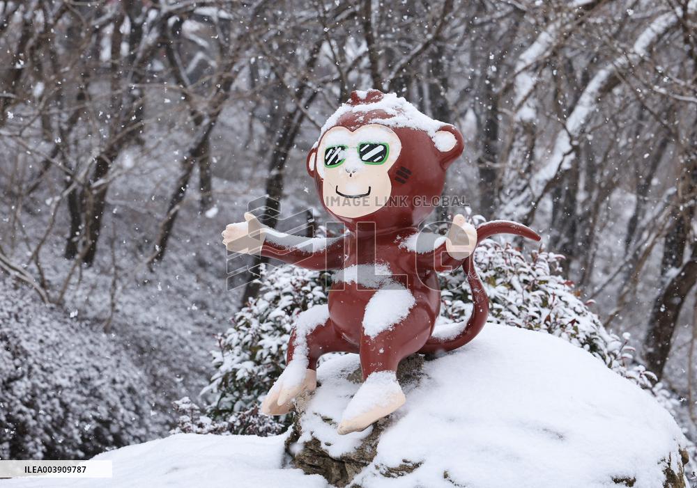 First Snow in Lianyungang