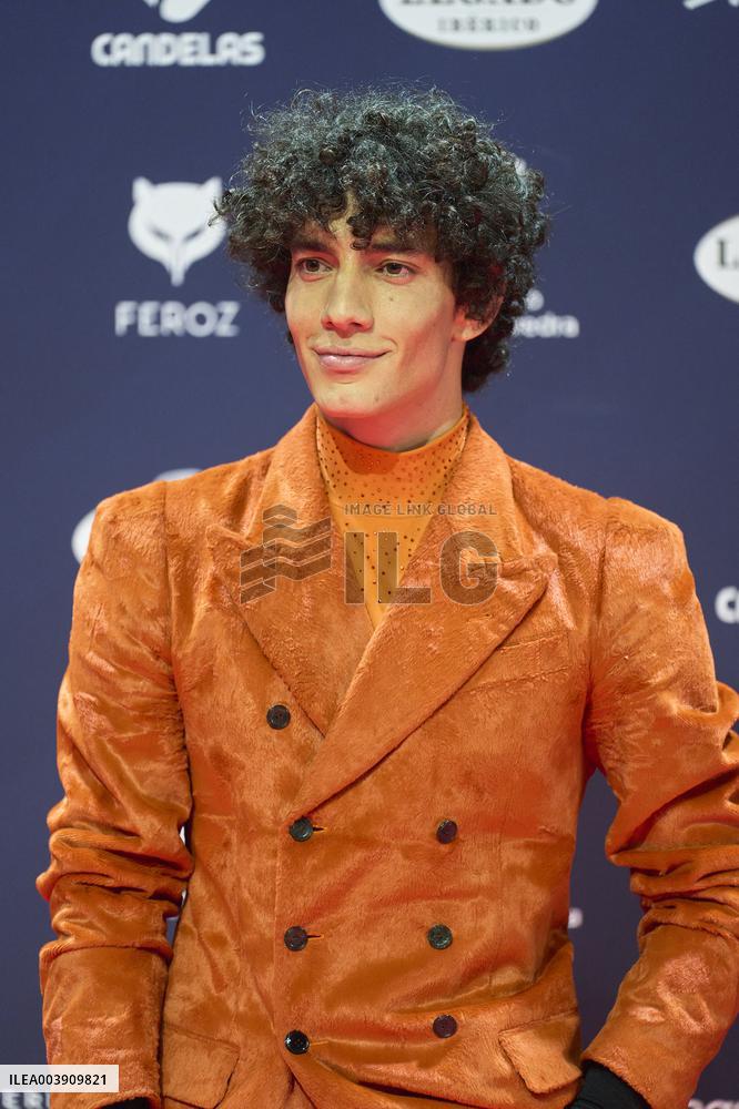 Feroz Awards 2025 - Spain