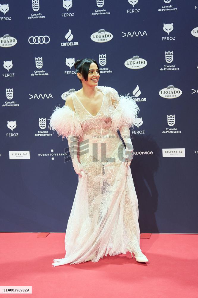 Feroz Awards 2025 - Spain