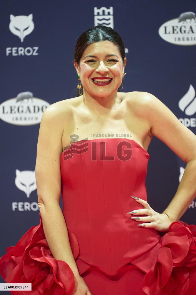 Feroz Awards 2025 - Spain