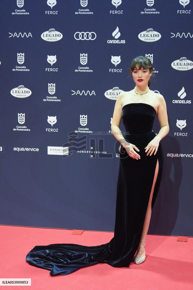 Feroz Awards 2025 - Spain