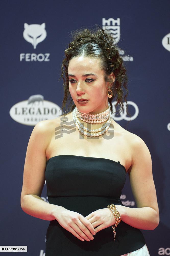 Feroz Awards 2025 - Spain