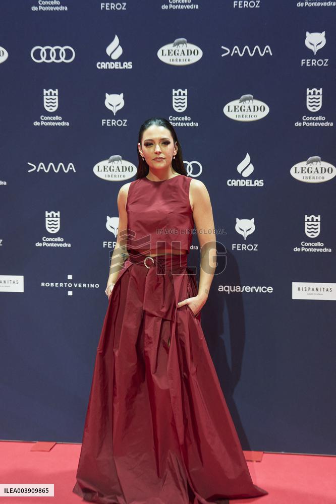 Feroz Awards 2025 - Spain