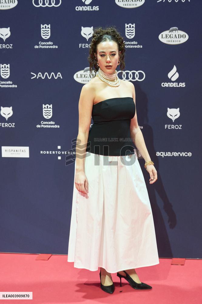 Feroz Awards 2025 - Spain