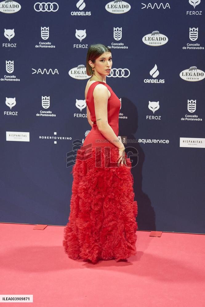 Feroz Awards 2025 - Spain