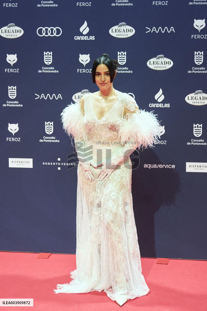 Feroz Awards 2025 - Spain