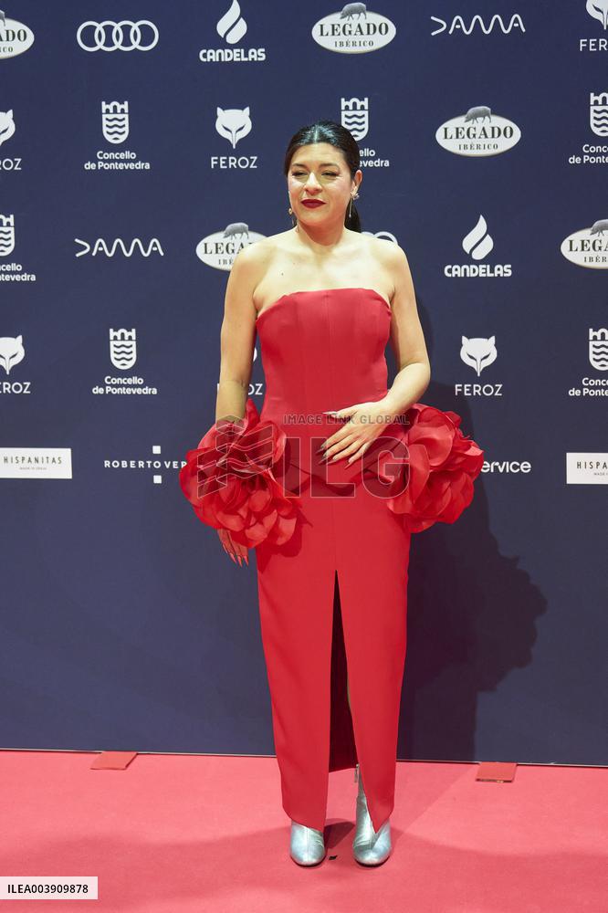 Feroz Awards 2025 - Spain