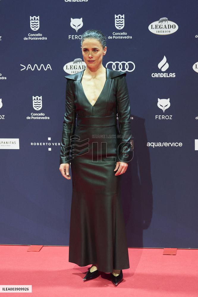 Feroz Awards 2025 - Spain