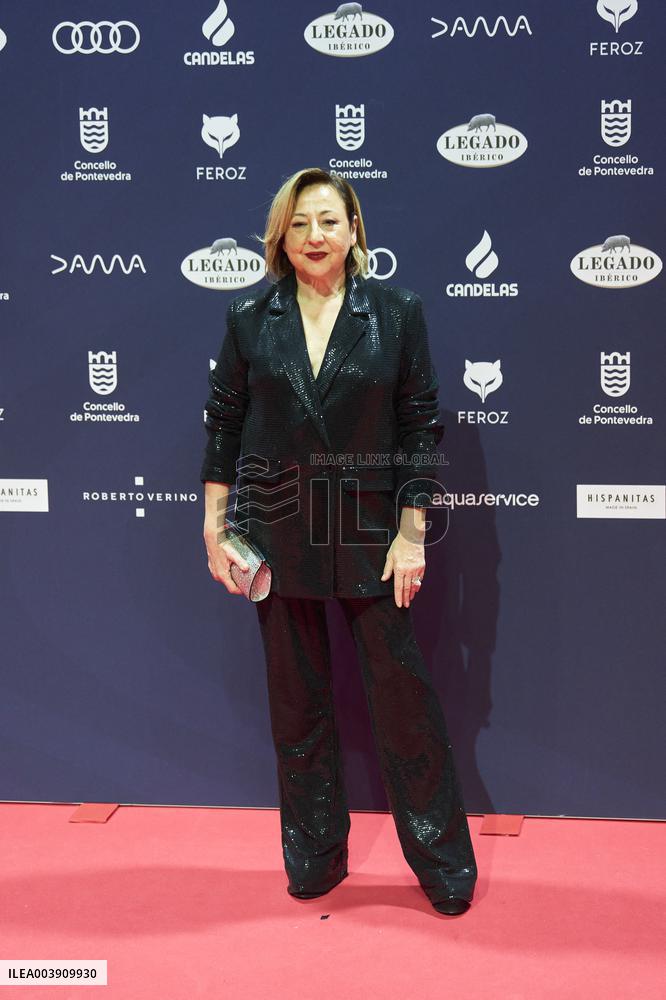 Feroz Awards 2025 - Spain