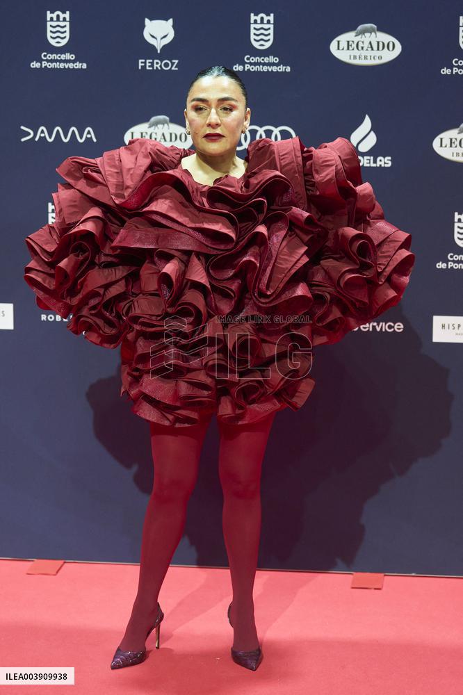 Feroz Awards 2025 - Spain