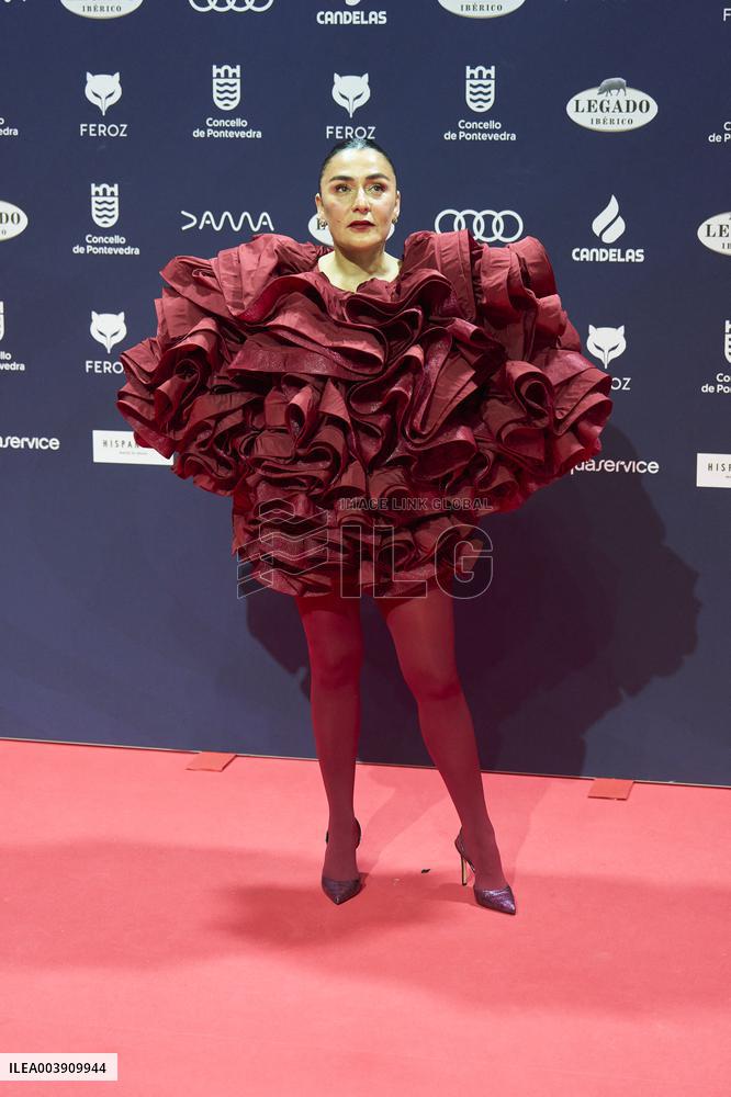 Feroz Awards 2025 - Spain