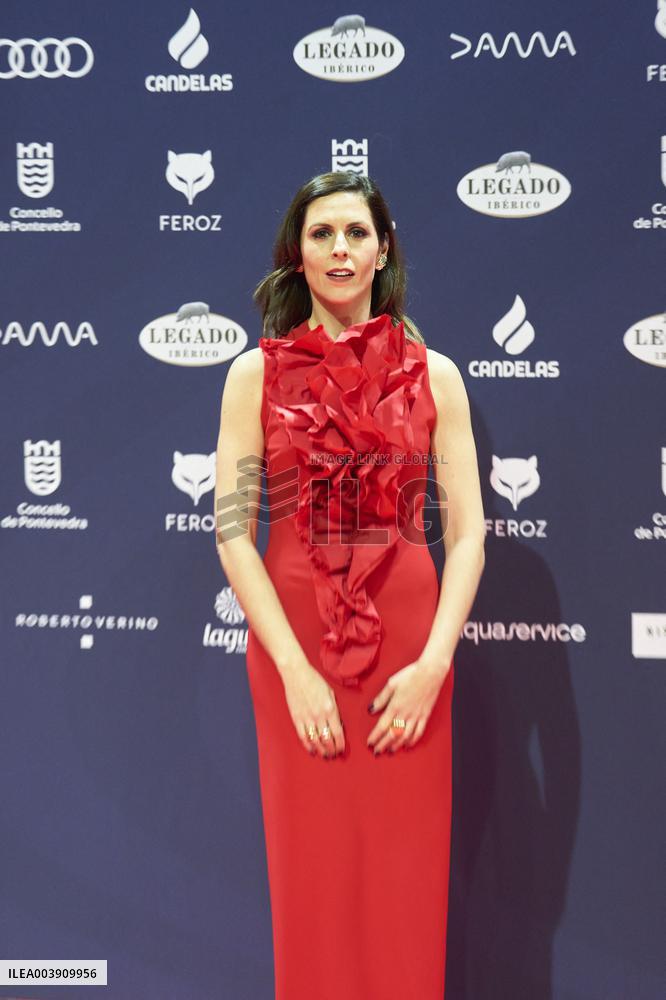 Feroz Awards 2025 - Spain