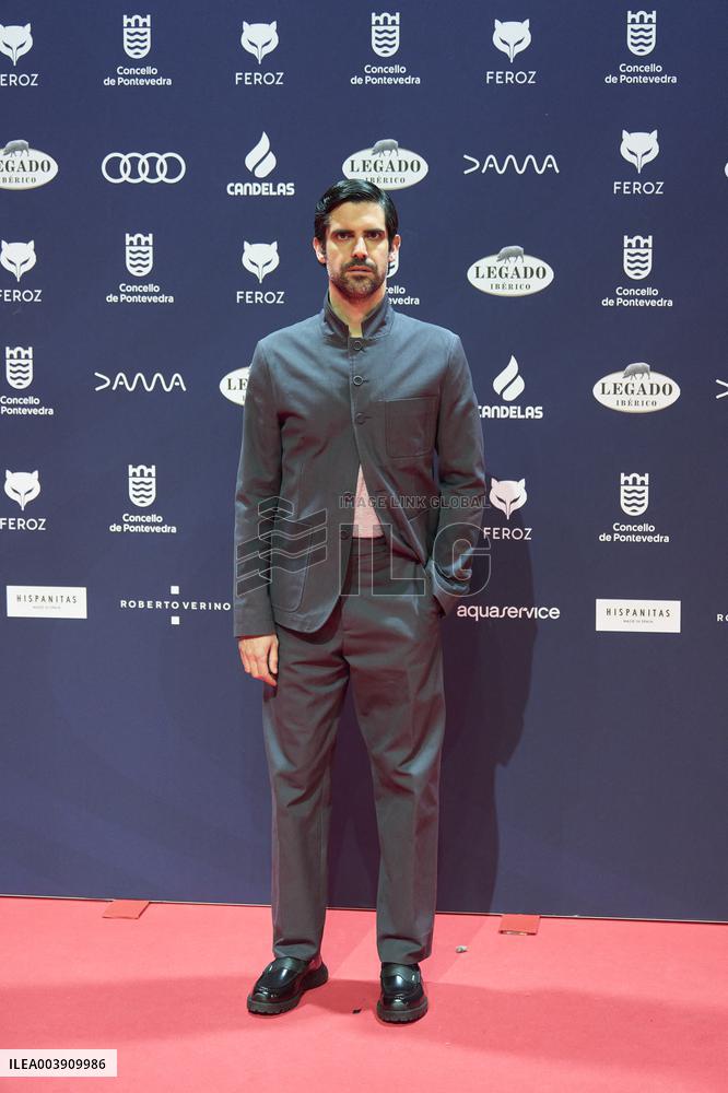 Feroz Awards 2025 - Spain