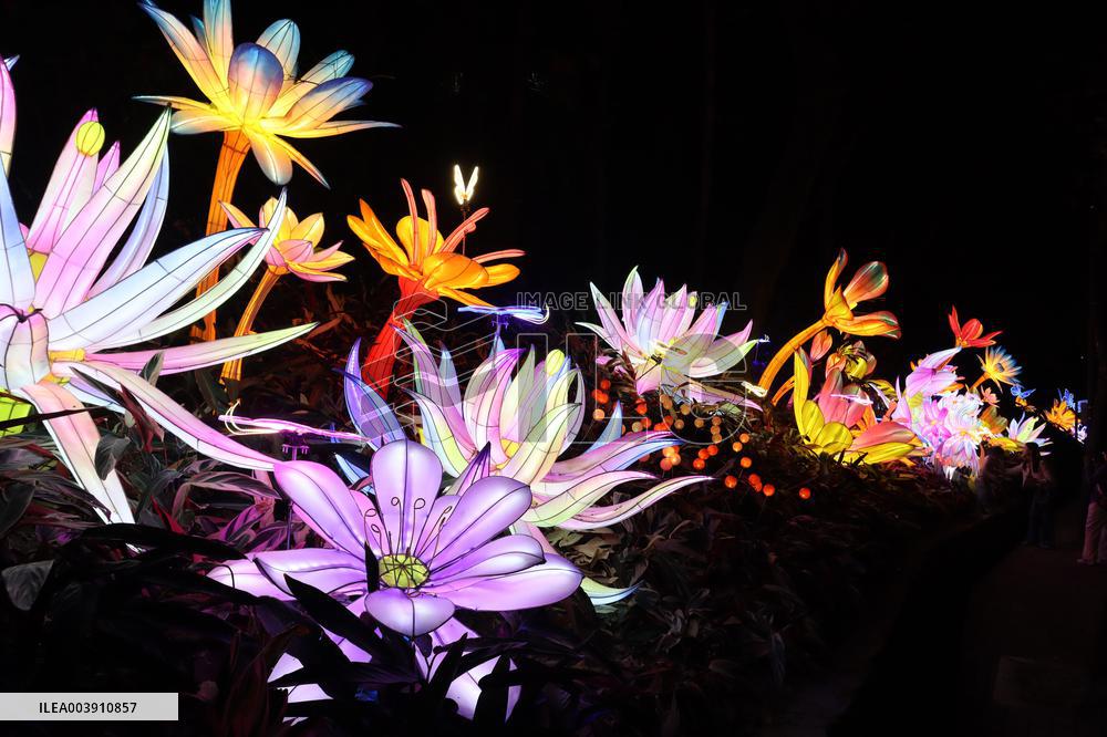 Festive Lantern Fair in Guangzhou