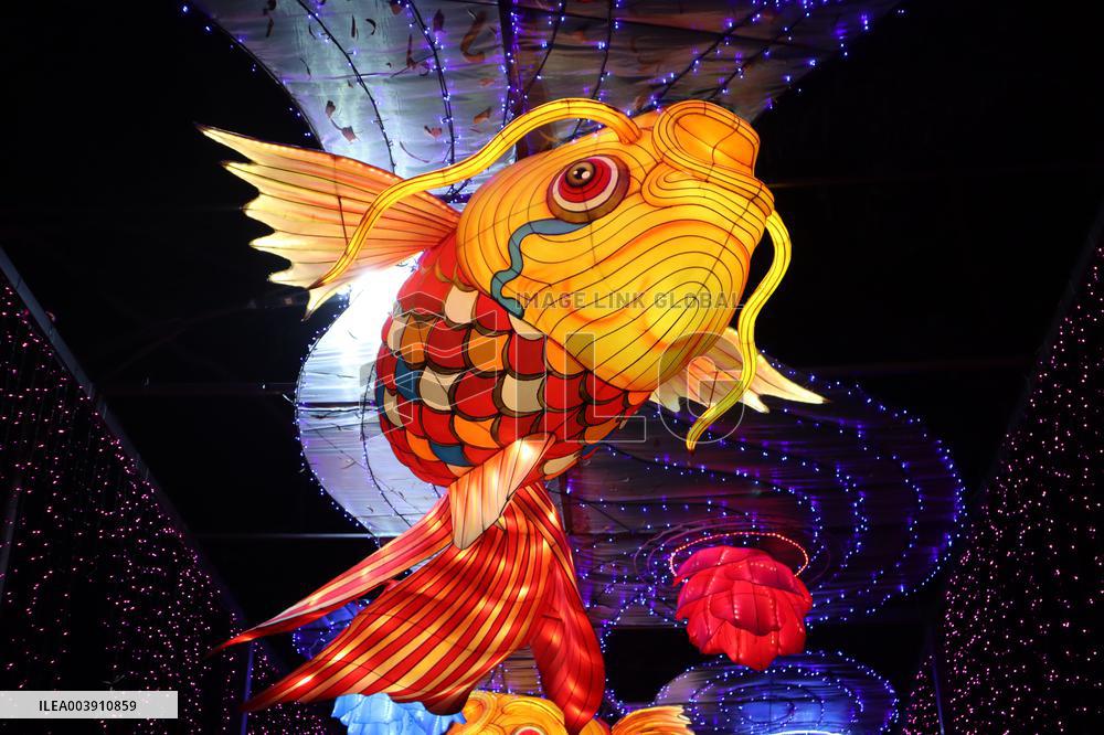 Festive Lantern Fair in Guangzhou