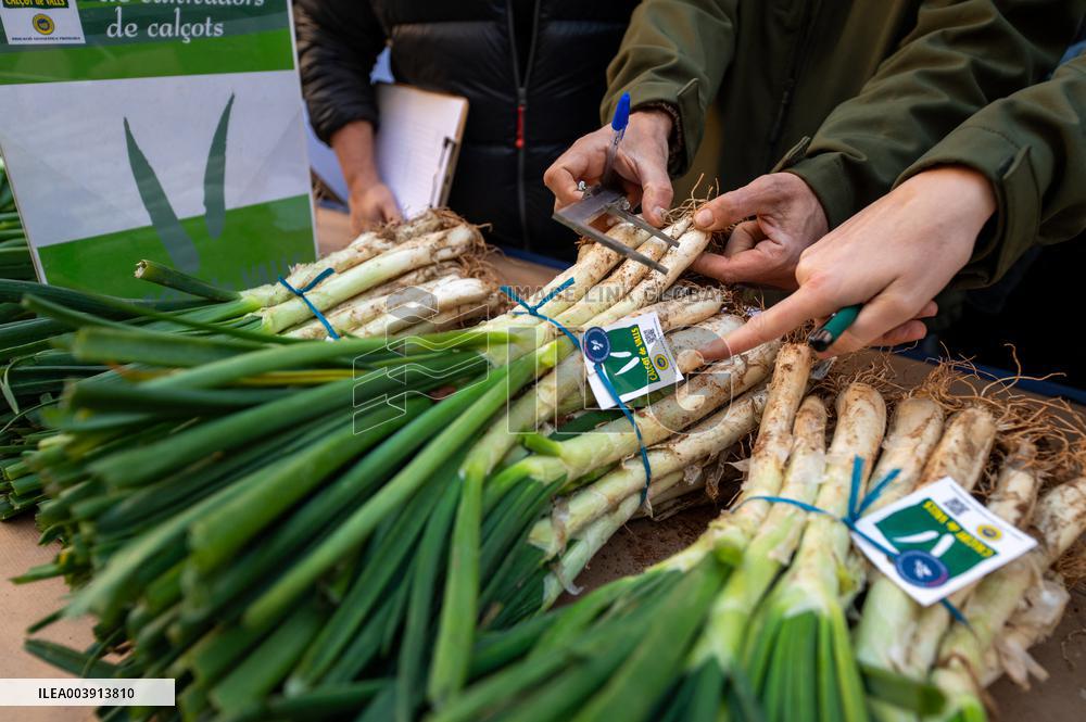 Calcotada Festival of Valls 2025