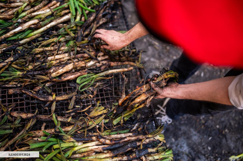 Calcotada Festival of Valls 2025