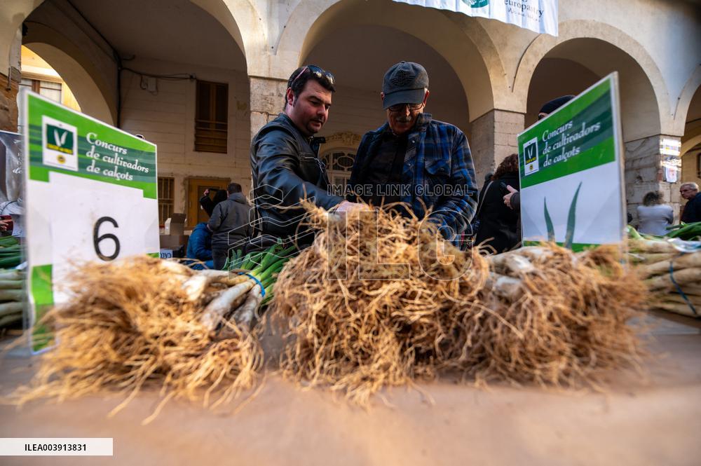 Calcotada Festival of Valls 2025
