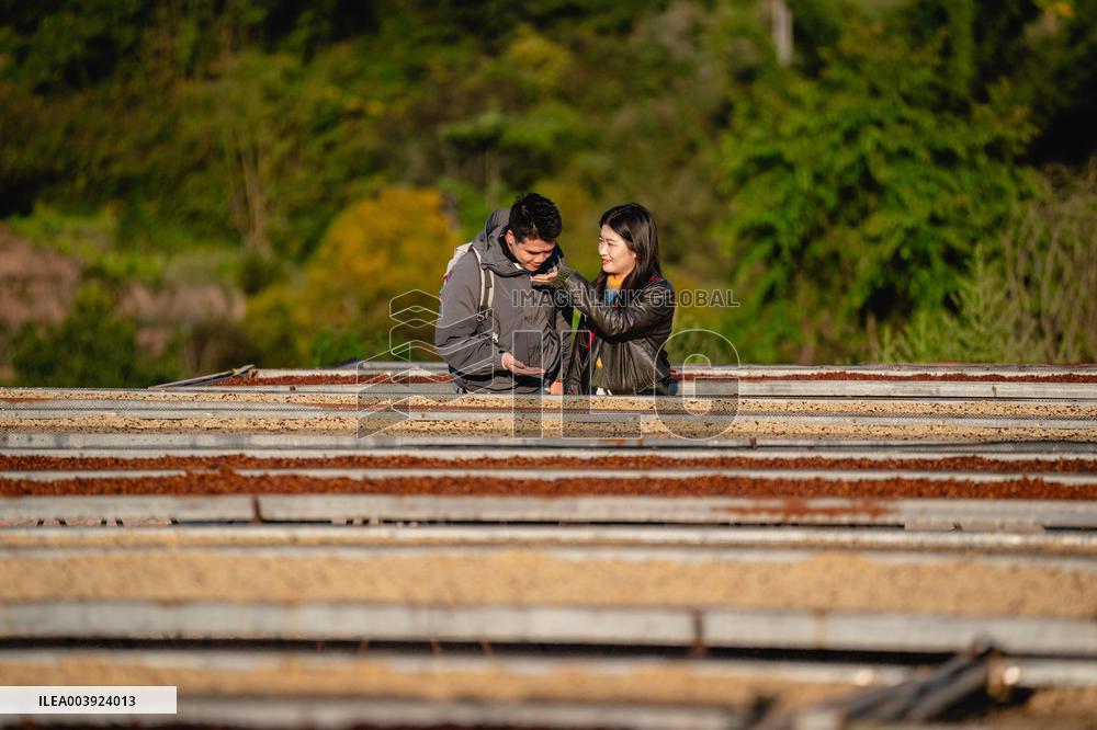 Coffee Industry - China