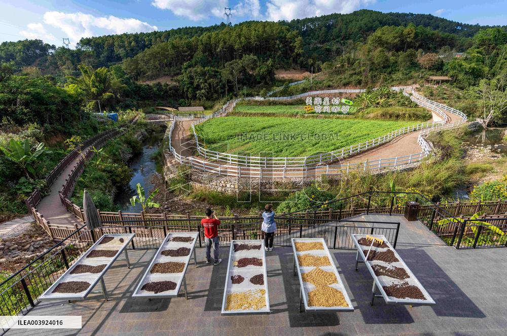 Coffee Industry - China