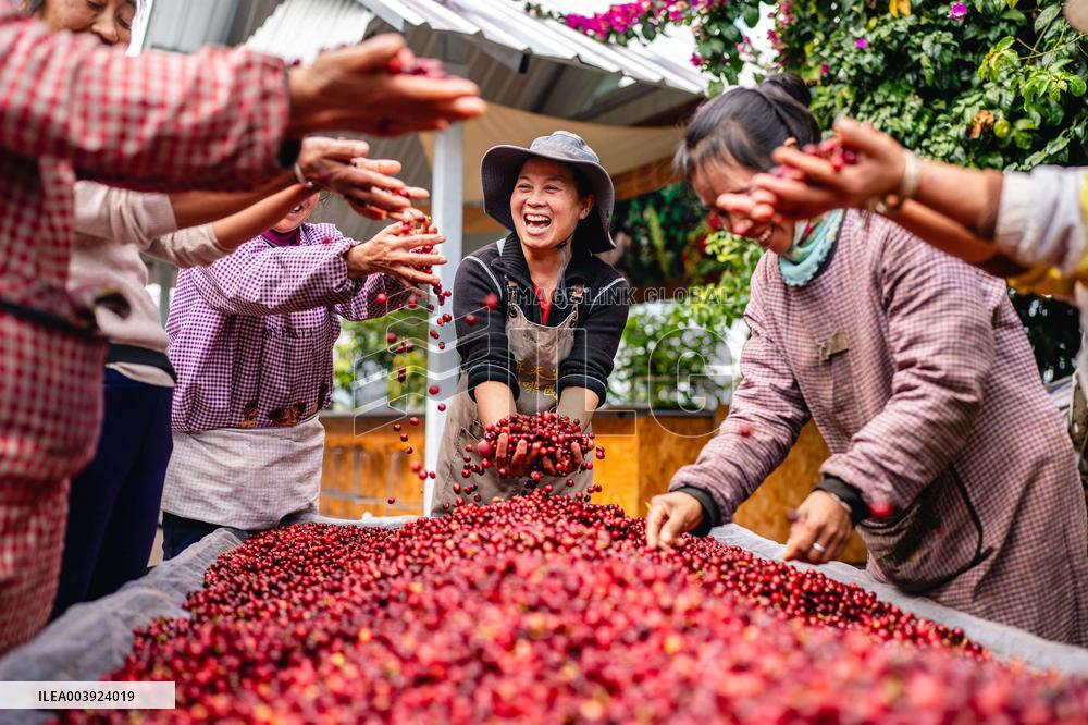 Coffee Industry - China