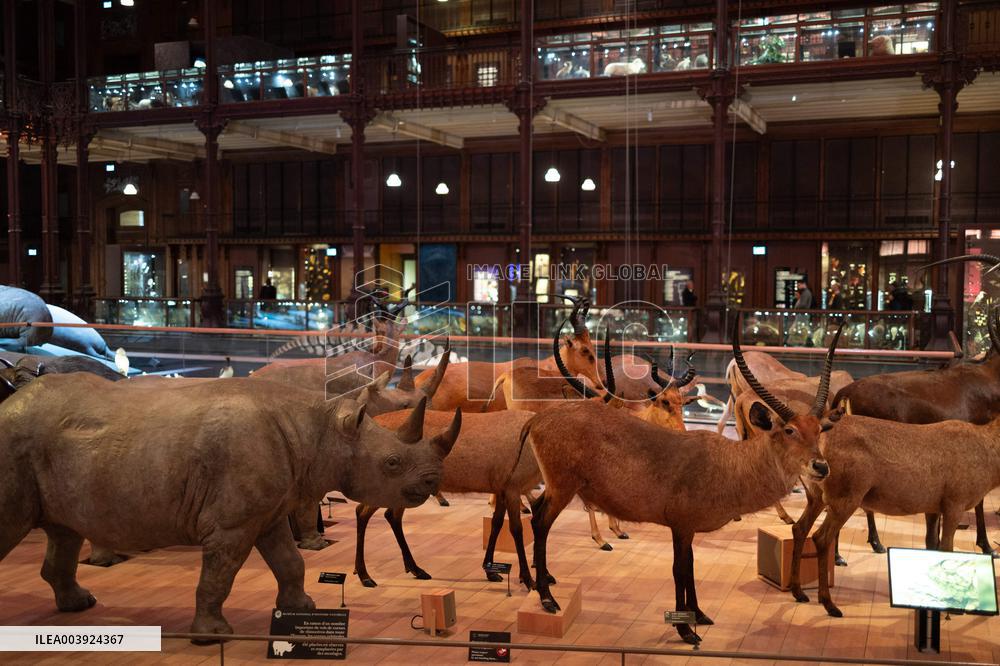 Agnes Pannier-Runacher Presents her Wishes for 2025 - Paris