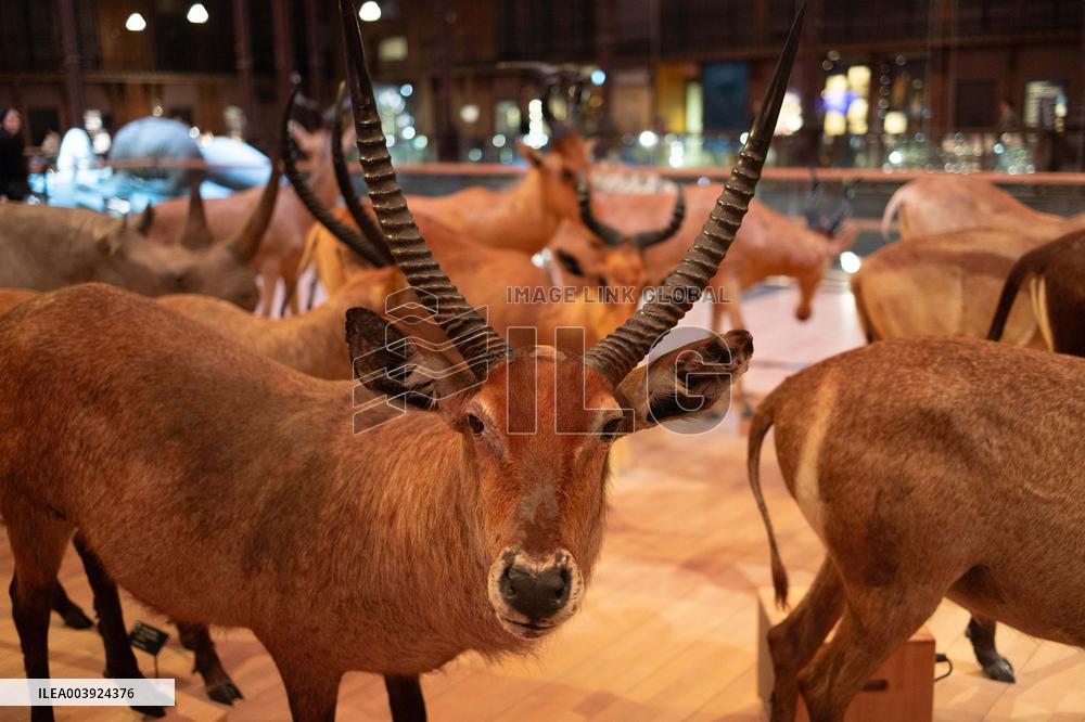 Agnes Pannier-Runacher Presents her Wishes for 2025 - Paris