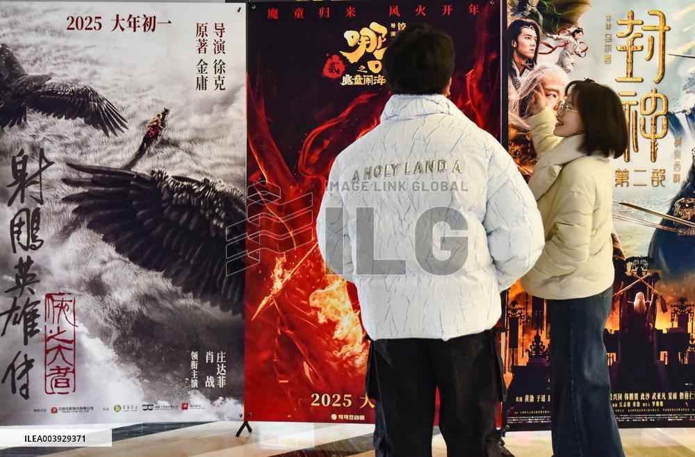 2025 Spring Festival Film Box Office