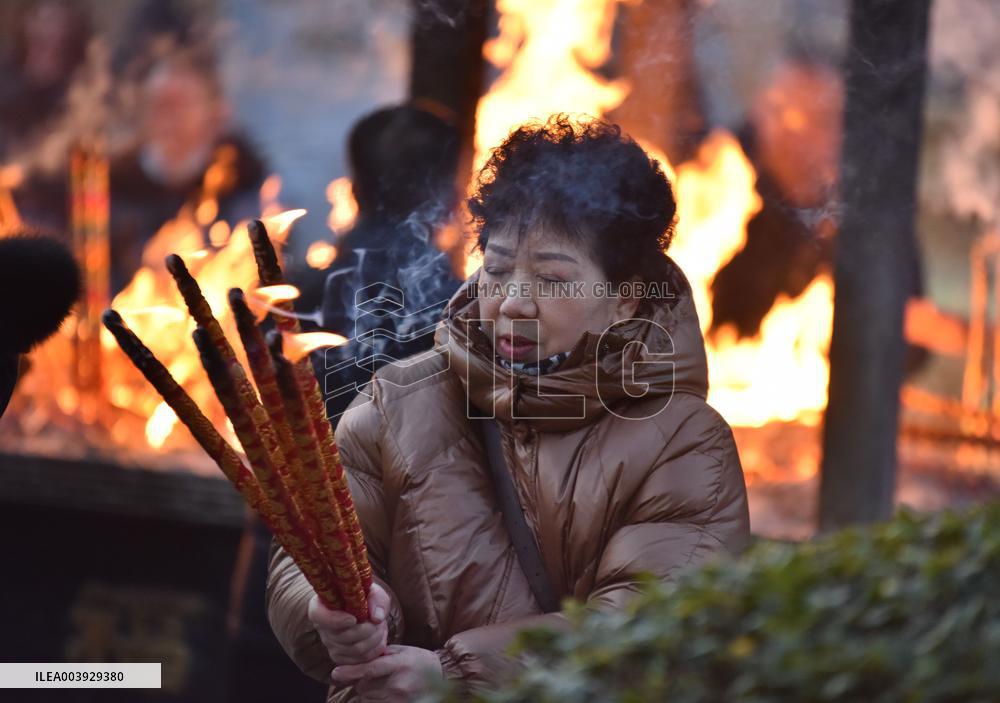 2025 Spring Festival Film Box Office