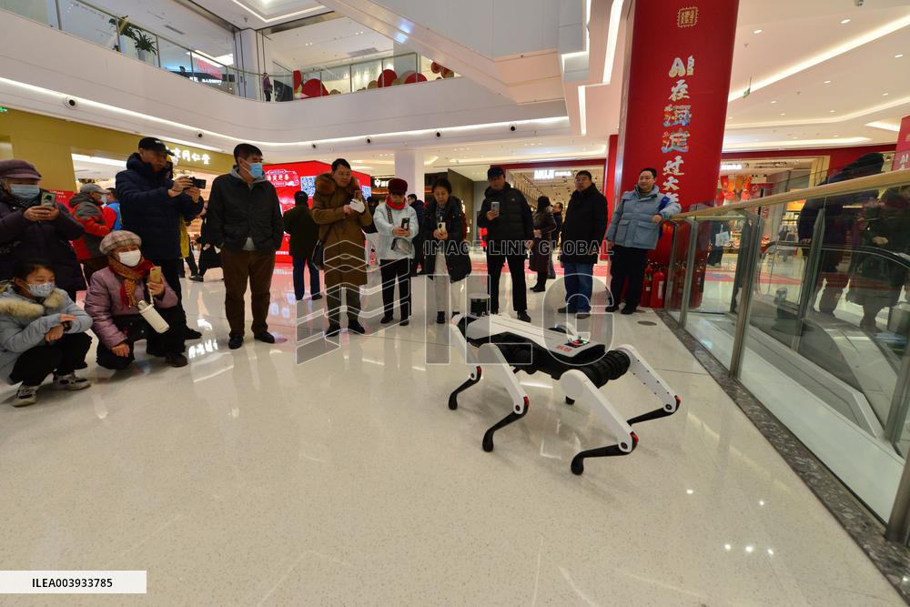 AI-themed Temple Fair in Beijing