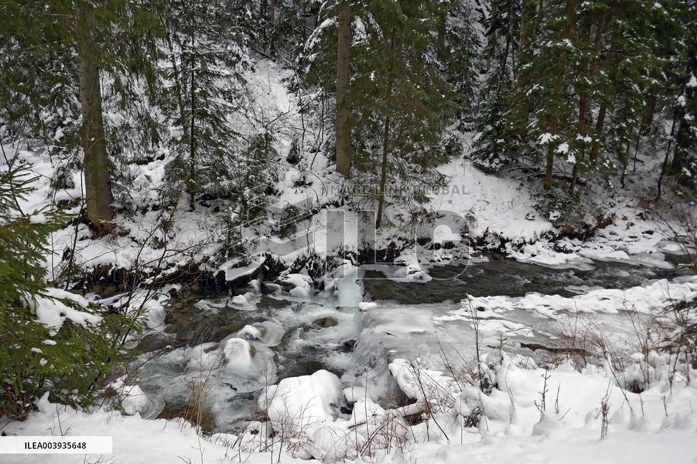 Climbing Mount Petros from Kozmeshchyk tract