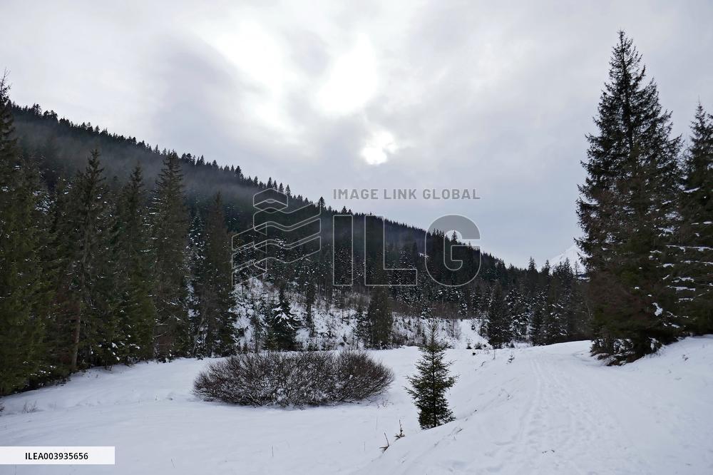 Climbing Mount Petros from Kozmeshchyk tract