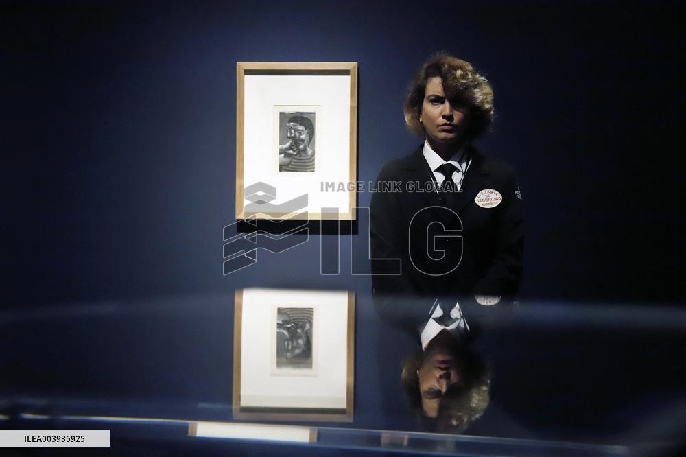 Picasso: The Royan Notebooks Exhibition - Malaga