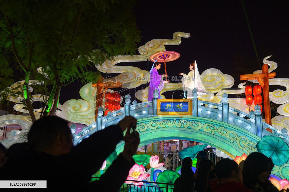 Zigong International Dinosaur Lantern Show - China