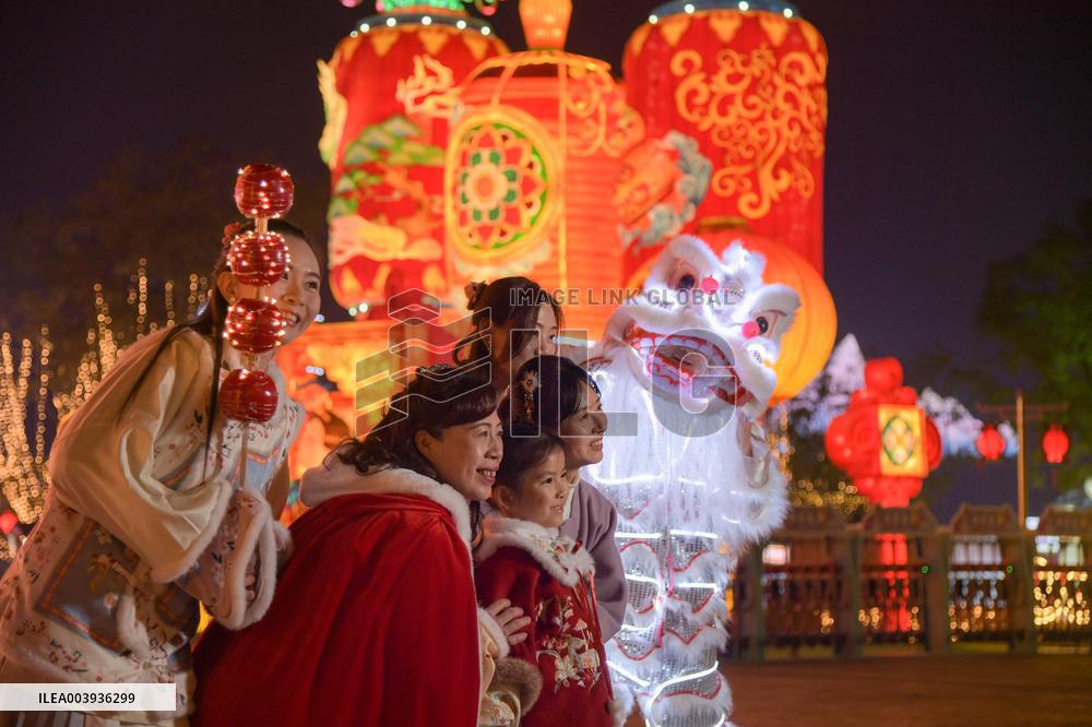 Zigong International Dinosaur Lantern Show - China