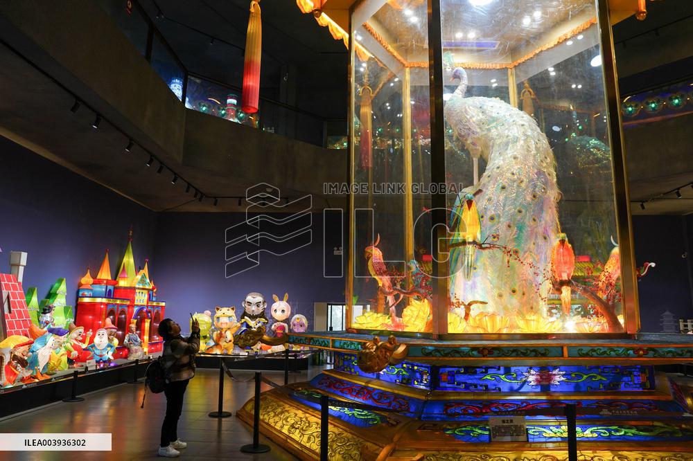 Zigong International Dinosaur Lantern Show - China