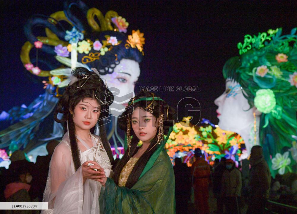 Zigong International Dinosaur Lantern Show - China
