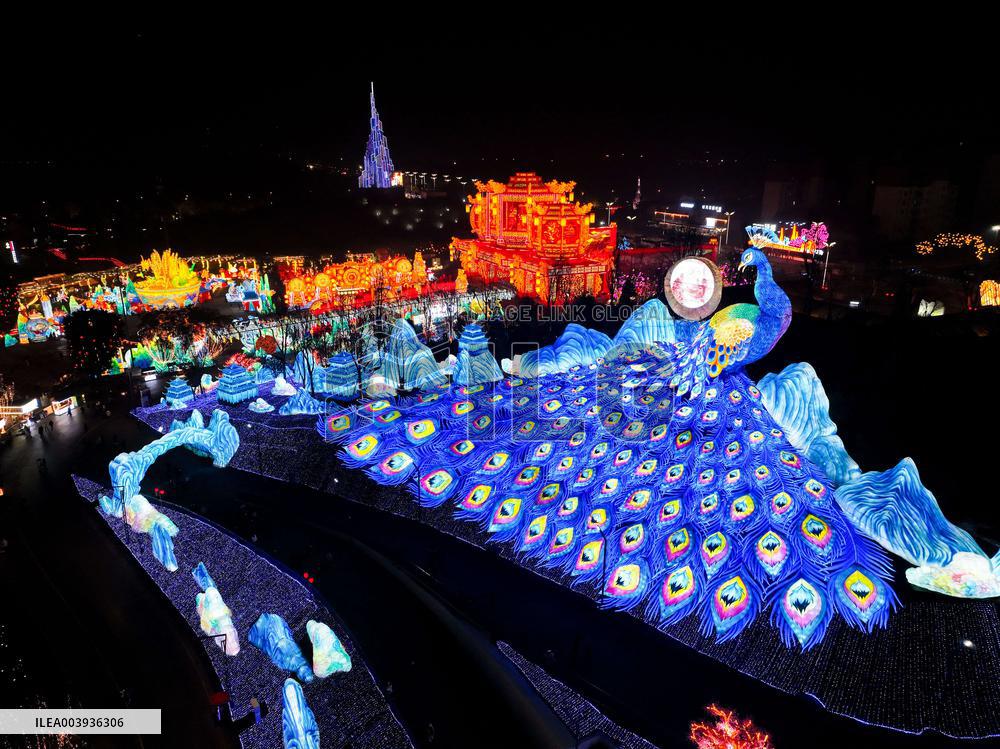 Zigong International Dinosaur Lantern Show - China