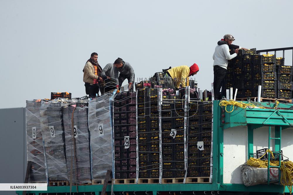 Aid Trucks Wait to Enter Gaza
