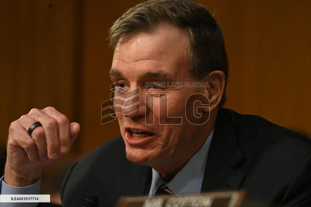 Tulsi Gabbard Confirmation Hearing